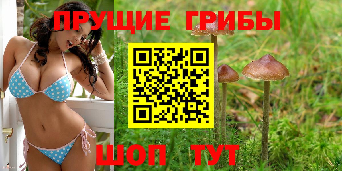 Галлюциногенные грибы GOLDEN TEACHER  Вход с VPN  Муром 